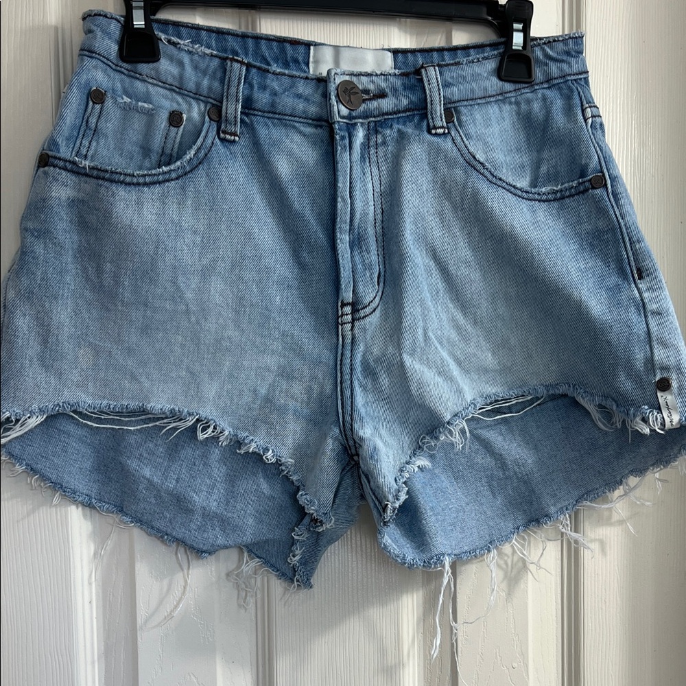 One Teaspoon Shorts Women Size 27 Light Blue Frayed Jean